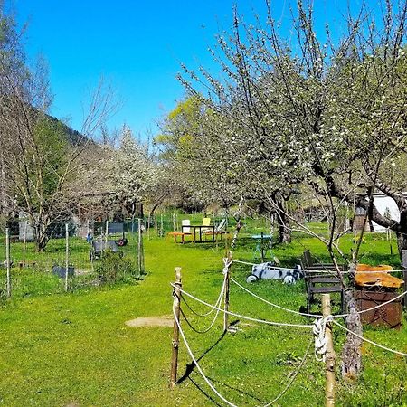 La Cerisole Apartment Saint-Étienne-de-Tinée Екстериор снимка