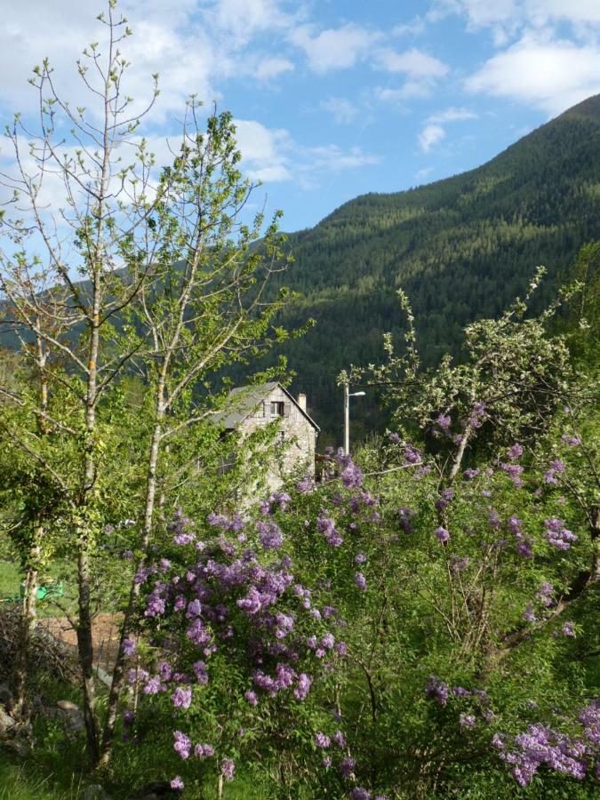 La Cerisole Apartment Saint-Étienne-de-Tinée Екстериор снимка